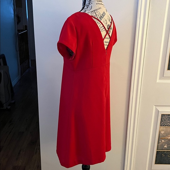 Chic Scarlet Mini Dress - Picture 12 of 13